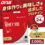 DNS プロテインホエイ 100 リッチバニラ
