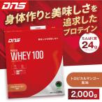 DNS プロテインホエイ 100 トロピカルマンゴー