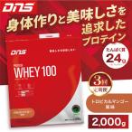 DNS プロテインホエイ 100 トロピカルマンゴー