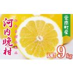 ふるさと納税 【数量�