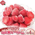 ◆赤い宝石◆いちごさん 冷凍いちご 4kg