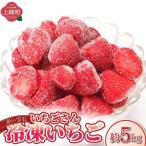◆赤い宝石◆いちごさん 冷凍いちご 5kg