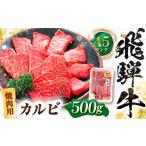 飛騨牛 A5等級 焼肉用 カルビ 500g