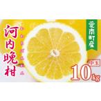 ふるさと納税 【数量�