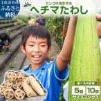 ヘチマ スポンジ たわし サイズミックス 5個セット