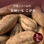 種子島 中園ファーム 安納いも 生芋 L サイズ 5kg