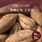 種子島 安納いも こがね 生芋 M サイズ 10kg