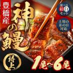 神の鰻 1尾