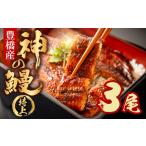 神の鰻 3尾