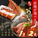 うなぎ蒲焼 1尾