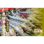 fu.... налог [ скорость отправка ] перевод есть! пробный тепловая готовка для Izumi . машина море .250g Osaka (столичный округ) Izumi .. город 