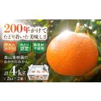 伊木力産 森山果樹園のおかわりみかん 4kg