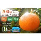 伊木力産 森山果樹園のこだわりみかん 10kg