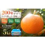 伊木力産 森山果樹園のこだわりみかん 5kg