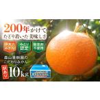 伊木力産 森山果樹園のこだわりみかん 10kg