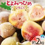 いちじく 冷凍 とよみつひめ 約1kg