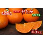 ふるさと納税 訳あり せとか 矢野青果 5kg せとか B010-171032 愛媛県宇和島市