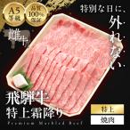 A5等級 飛騨牛 特上 霜降り焼肉 300g