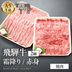 A5等級飛騨牛 霜降り 赤身焼肉 600g