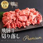 A5等級飛騨牛 切り落し 500g