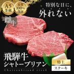 A5等級飛騨牛 ヒレステーキ 450g