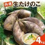 たけのこ畑で育てた赤土たけのこ 4kg予約