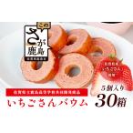佐賀いちごさんバウム 5個入り