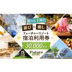 宿泊券 フューチャーリゾート 宿泊利用券30,000円分