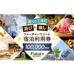 宿泊券 フューチャーリゾート 宿泊利用券100,000円分