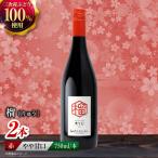 赤ワイン 榴 りゅう RYU 750ml×2本
