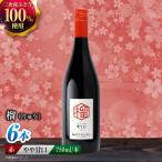 白ワイン 燦來 きら KIRA 750ml×6本