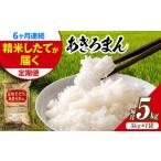 新米 令和8年産コシヒカリ 5kg