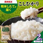新米 令和8年産コシヒカリ 2kg