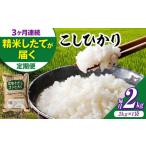 新米 令和8年産コシヒカリ 2kg