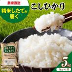 新米 令和8年産コシヒカリ 5kg