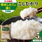 新米 令和8年産コシヒカリ 5kg