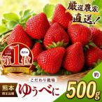 厳選農家直送 ゆうべに 約500g