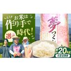 米 4回定期便 令和7年産 産米 夢つくし5kg 5kg×1袋