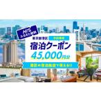 HIS 宿泊予約専用クーポン 45,000円分