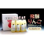 飛騨りんご100%ジュース1L×6本セット