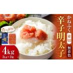 かねふく 辛子明太子 並切 4kg