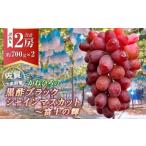 ふるさと納税 【訳あり】かねひろの黒酢ブラックシャインマスカット 富士の輝き 約700g × 2房 （合計：約1.4kg） 【2026年9月上旬〜9月下旬.. 佐賀県太良町