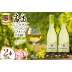 ふるさと納税 ワイン 白 高畠ジャパネスク リースリング・フォルテ やや甘口 720ml 2本 セット [高畠ワイナリー 山形県 高畠町 tk06ays730076] 山形県高畠町