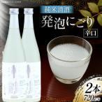 日本酒 辛口 生もと純米 720ml 2本 セット
