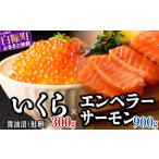 ふるさと納税 醤油漬鮭いくら 300g(100g×3パック)×訳あり エンペラーサーモン 北海道 国産 900gのセット ふるさと納税 いくら イクラ .. 北海道白糠町