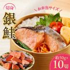 銀鮭 切身 約50g×10切れ