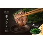 今だけ 九条ネギ付き 肉汁溢れる 牛ハラミ 500g