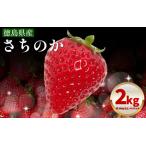 ふるさと納税 いちご 2kg さちのか 苺 徳島県