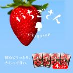 いちごさん 4パック