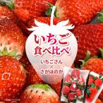 いちご食べ比べ いちごさん さがほのか _b-497